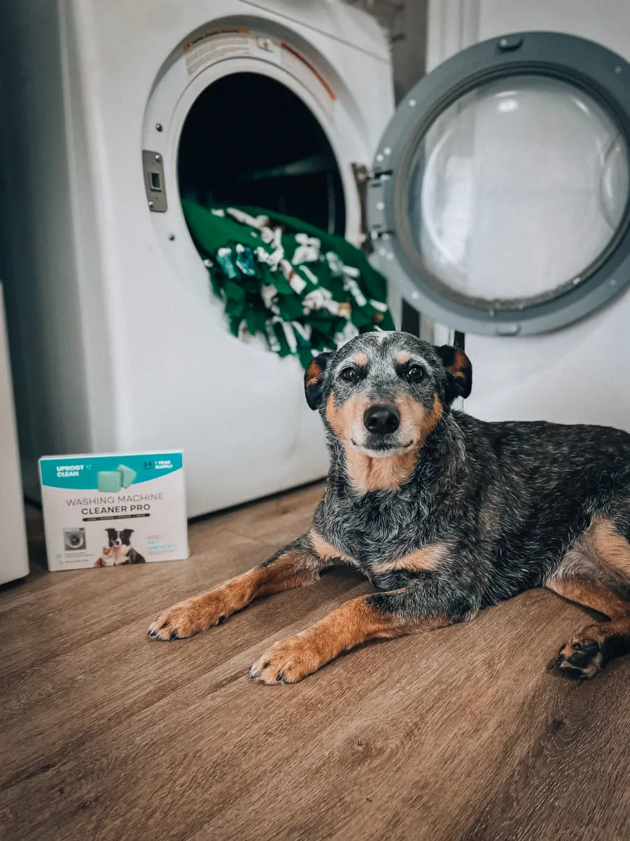 Customer review for musty washer